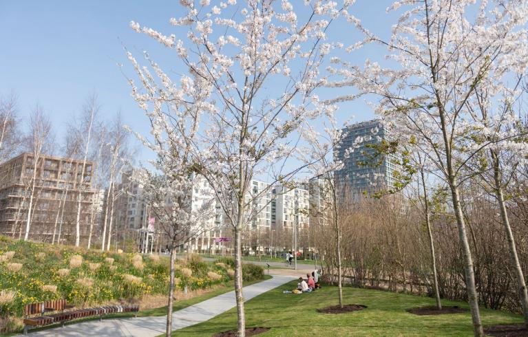 The new developments at Stratford viewed through the Blossom garden