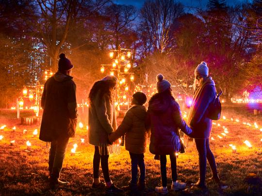 Fire Garden at Christmas at Kew with three children and 2 adult