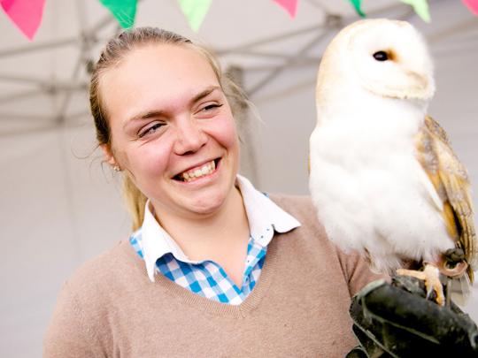 Owl with handler