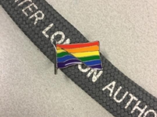 rainbow flag pin badge 1x1