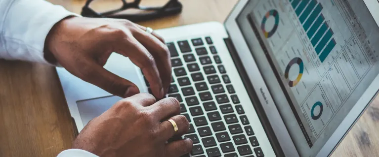 Person looking at statistics on laptop