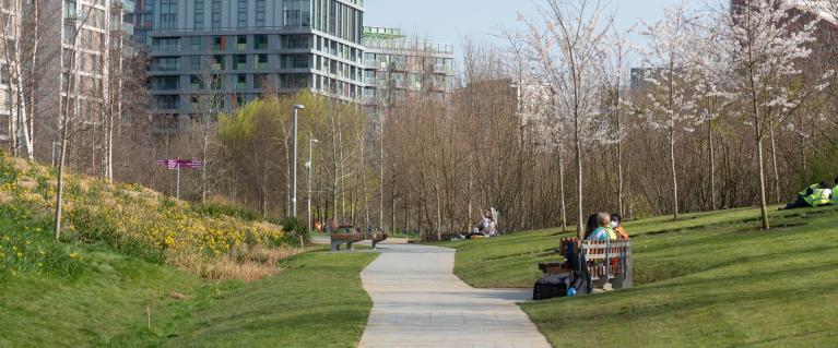 A trail through a park with trees and a building in the horizon