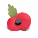 Red poppy badge for Remembrance Day