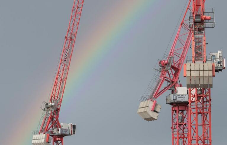 cranes and rainbow