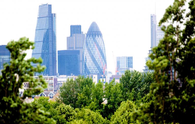Green in the City - London Environmental Network