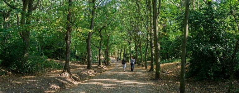 People walk along a wide tree lied path in a London park.