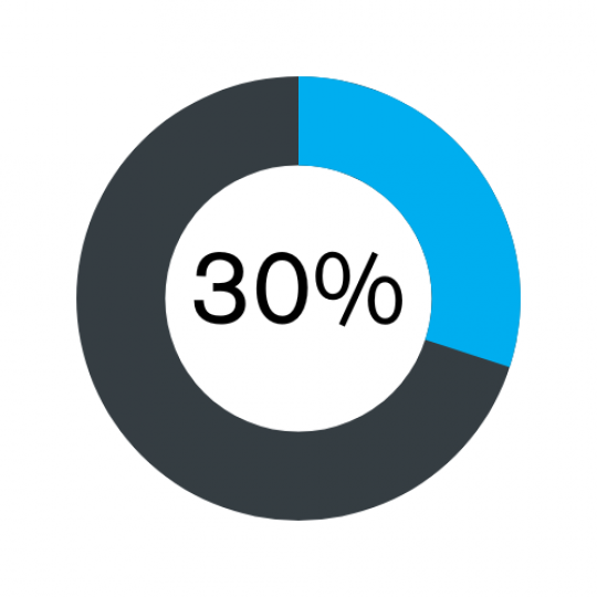 30 per cent pie chart icon, blue colour