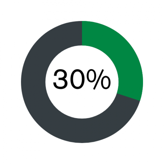 30 per cent pie chart icon, green colour