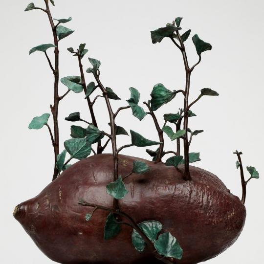 Side view of reddish brown, rounded sweet potato with pointed ends, green leafy shoots, on a light grey plinth