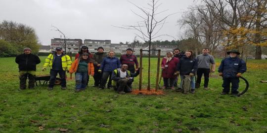 trees and hedges with people standing together green envrionment