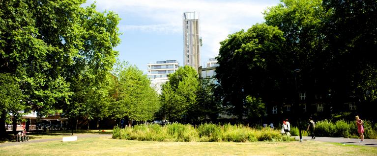 10-Minute Walk - Improving Park & Green Space Access