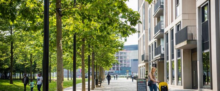 A residential pavement in London with trees