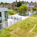 Green roofs