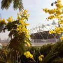 Stadium and flowers