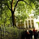 Trees in London