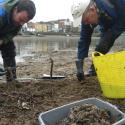 Wet Wipe foreshore clean up
