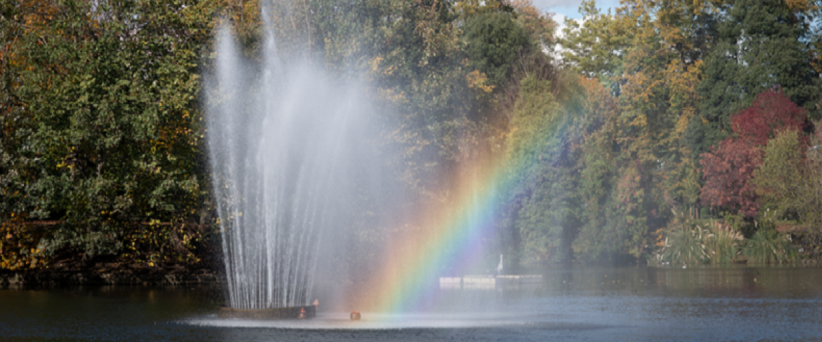 Rainbow in a park