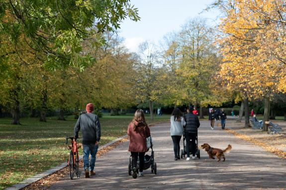 People strolling in a park with a pram and a dog